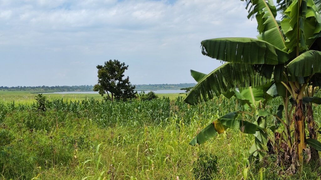 Center und Land