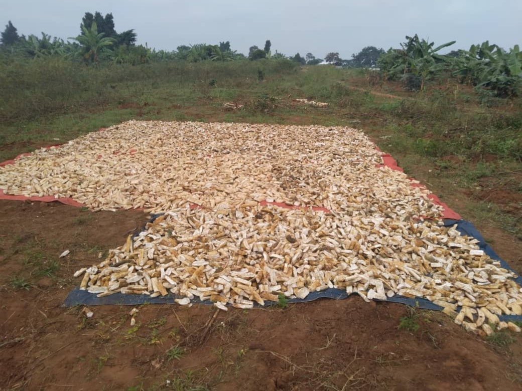 WhatsApp Image 2024-11-12 at 08.06.06 (3)