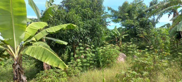 Unser Land in Uganda