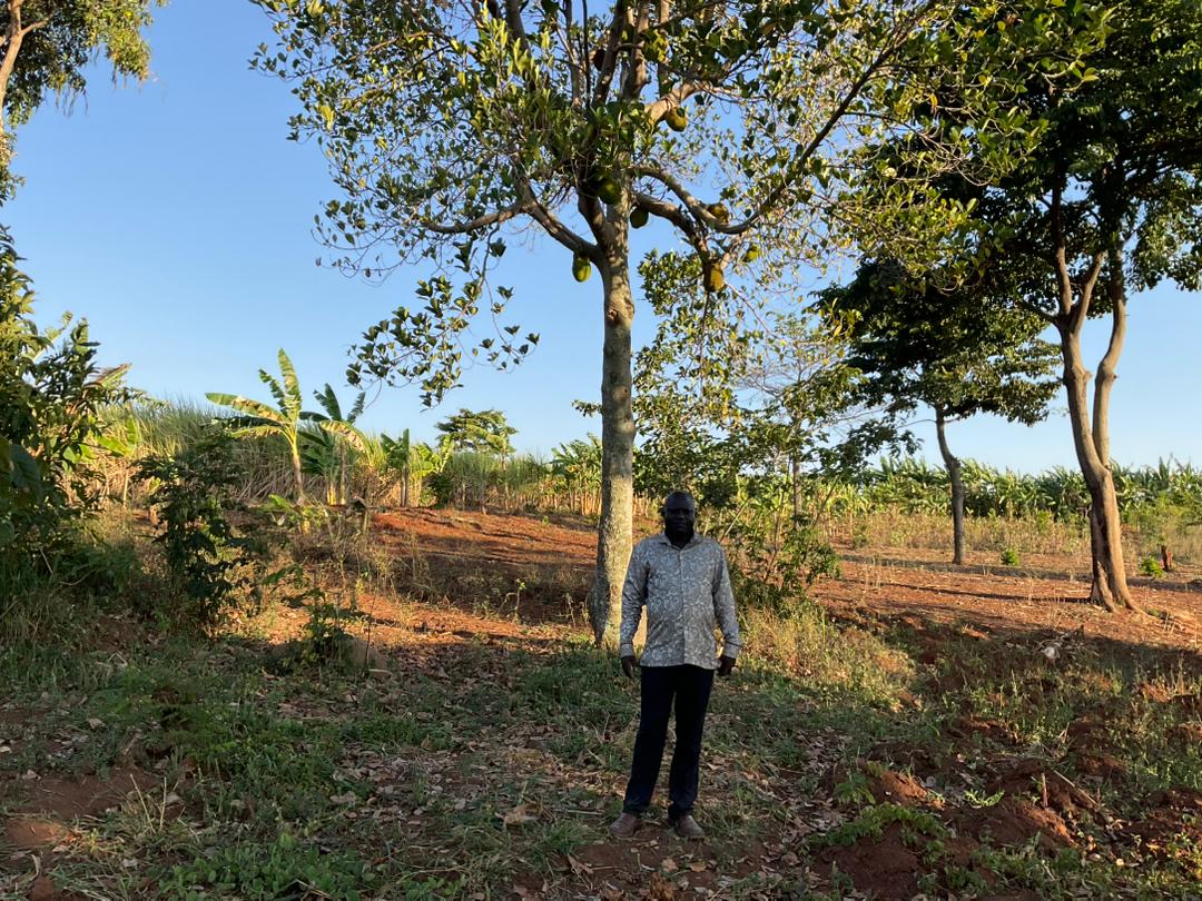 David standing on the newly bought land for growing coffee