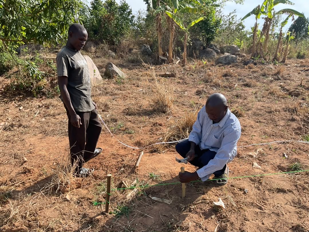 Two men marking out an area with string and wooden pegs