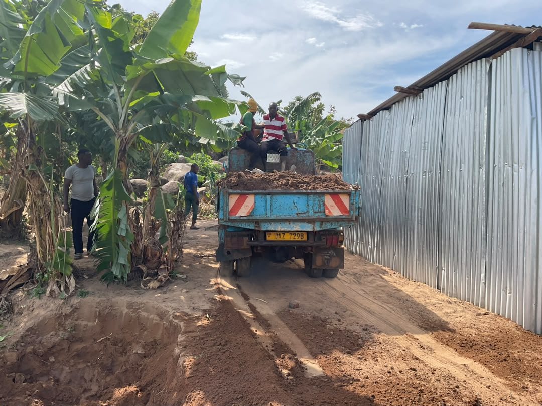A lorry with a load of soil on a track between banana plants