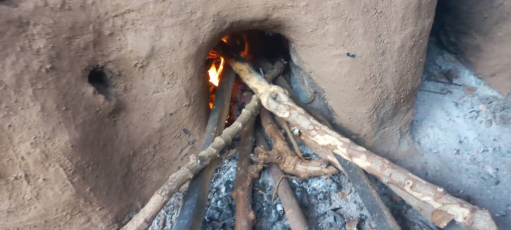 WhatsApp Image 2025-11-15 at 23.07.54