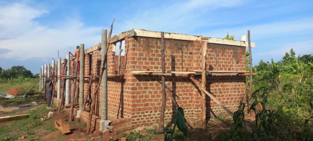 WhatsApp Image 2025-11-15 at 23.12.47