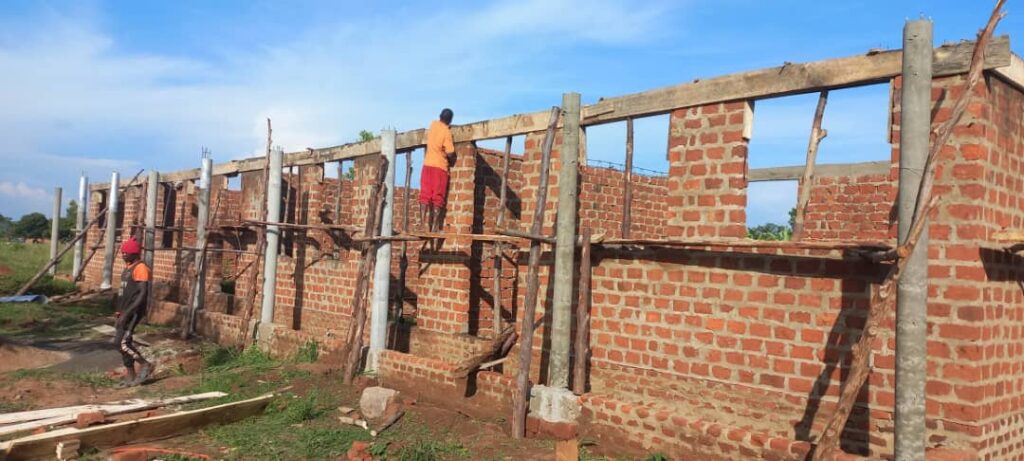 WhatsApp Image 2025-11-15 at 23.12.50