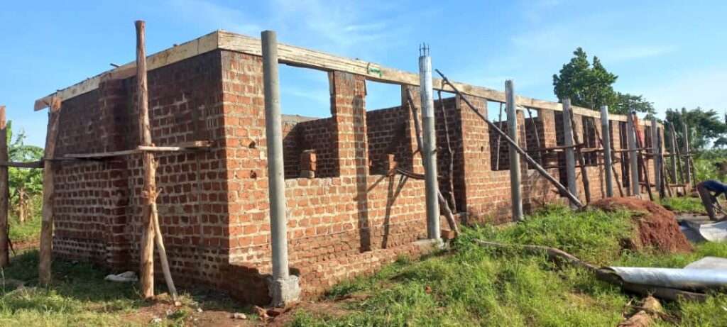 WhatsApp Image 2025-11-15 at 23.12.53