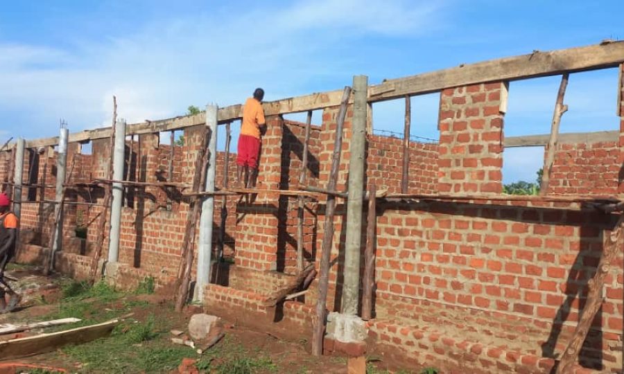 WhatsApp Image 2025-11-15 at 23.12.50