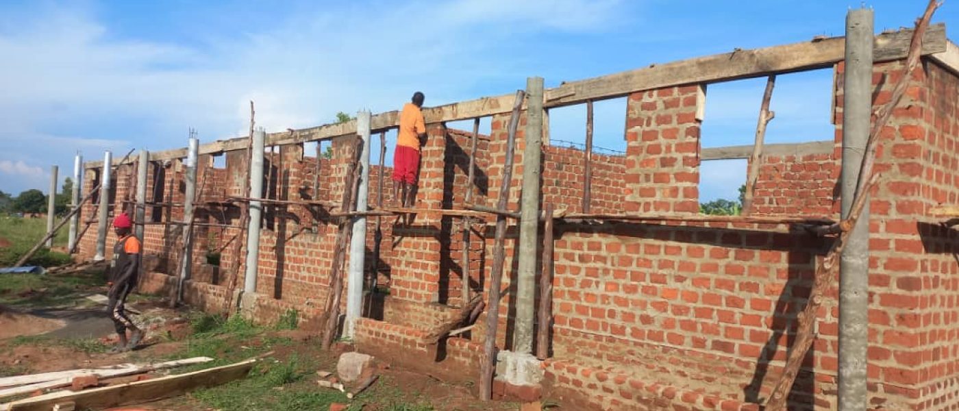 WhatsApp Image 2025-11-15 at 23.12.50