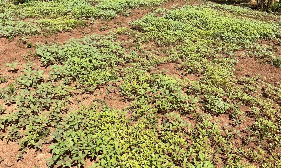 WhatsApp Image 2026-04-22 at 15.14.07