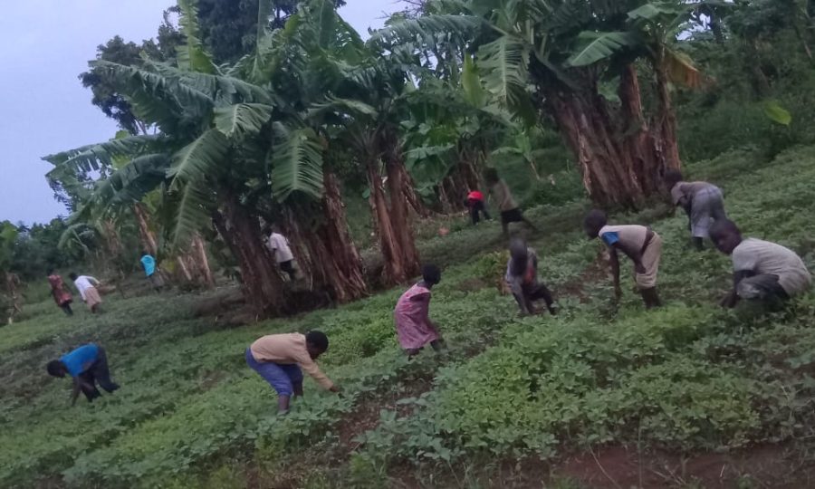 WhatsApp Image 2026-04-26 at 18.00.20